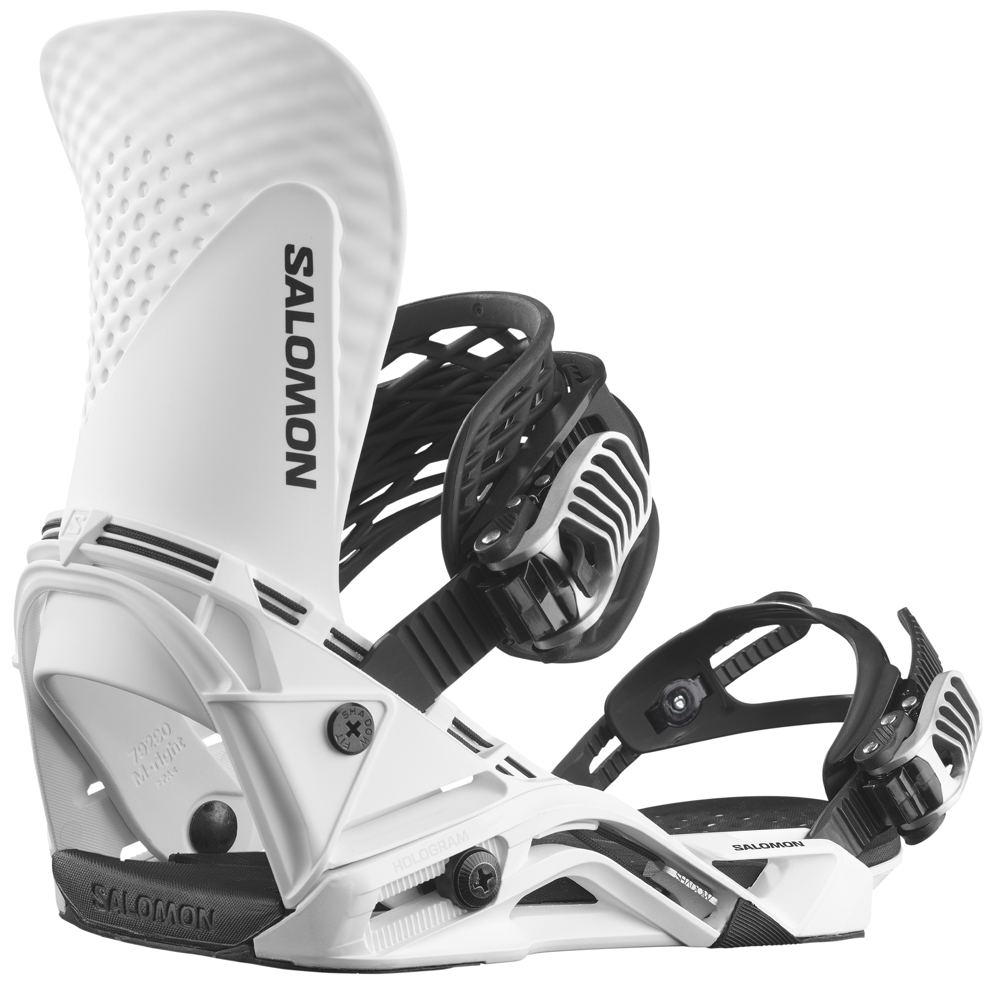 【SALOMON】Hologramの製品画像